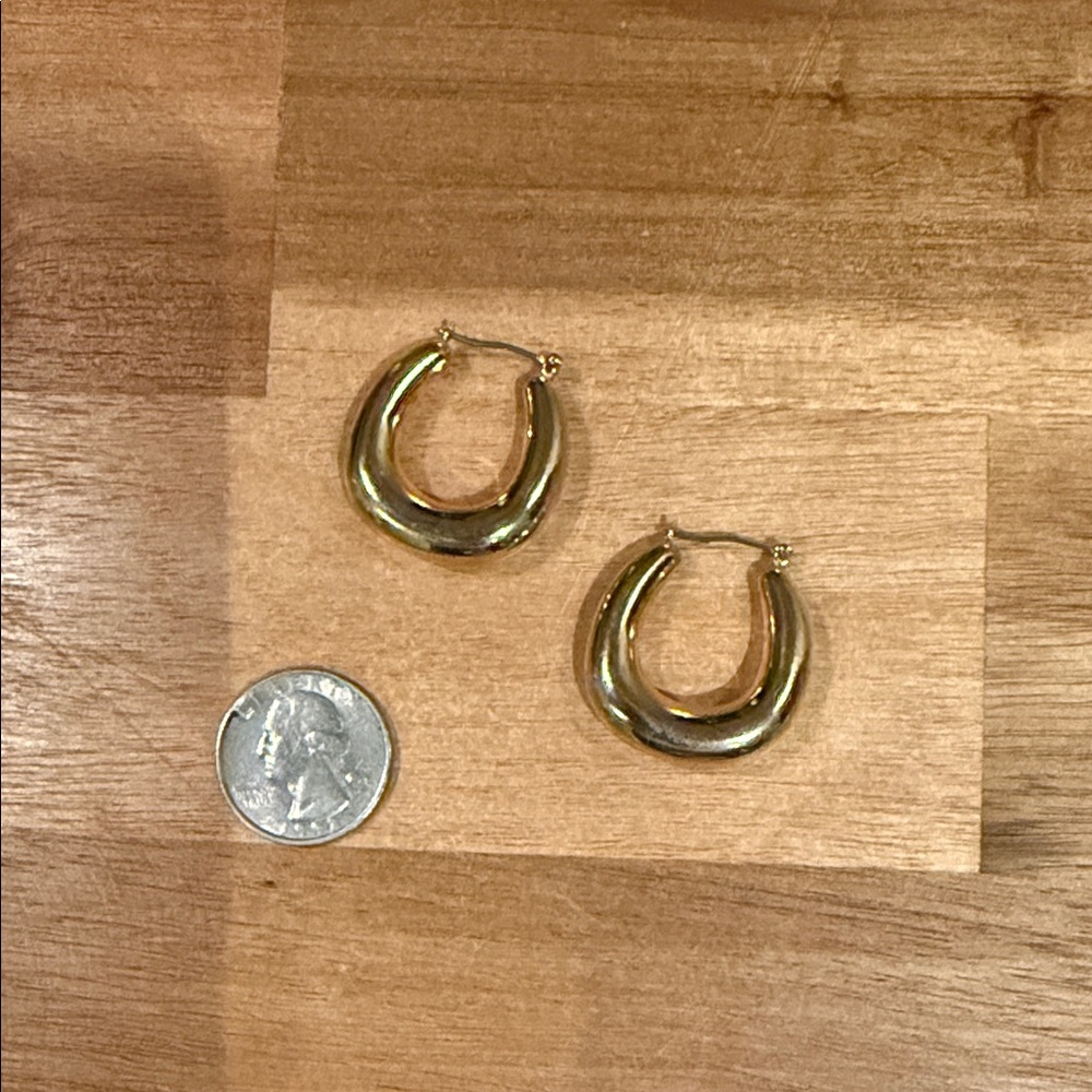 LOFT Gold Earrings